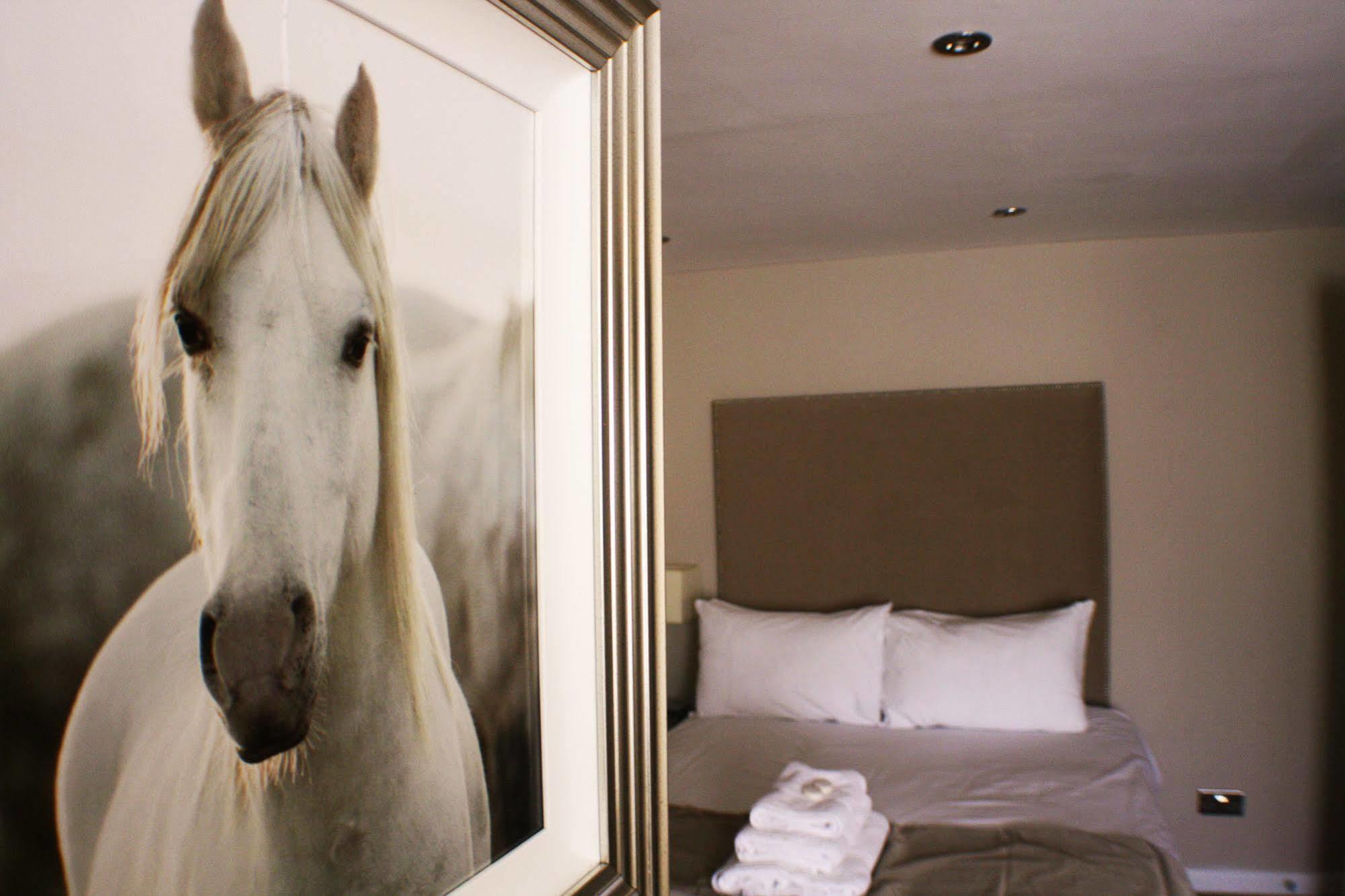 Mccafferty'S Guesthouse イルフォード エクステリア 写真